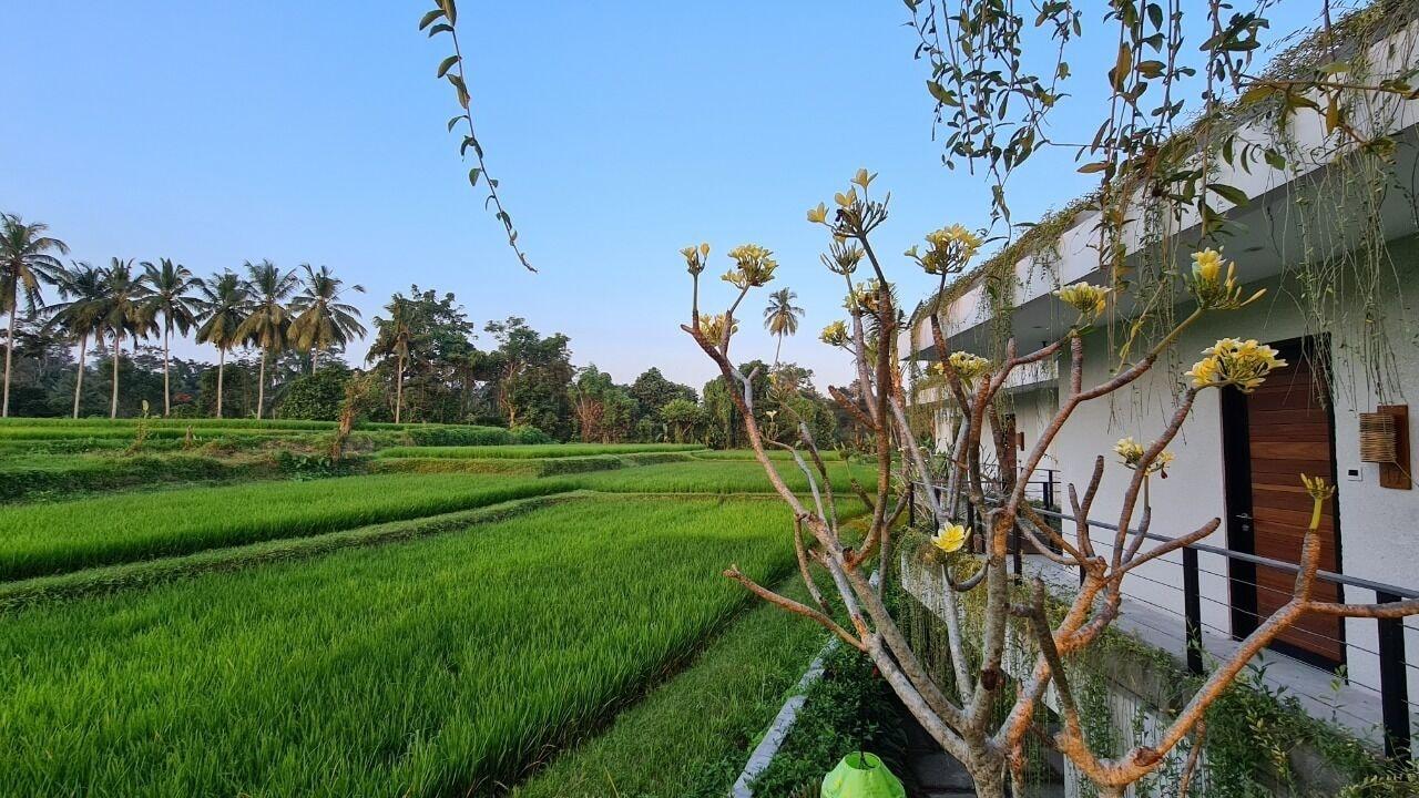 Hotel Ayurvedagram Bali Ubud Esterno foto