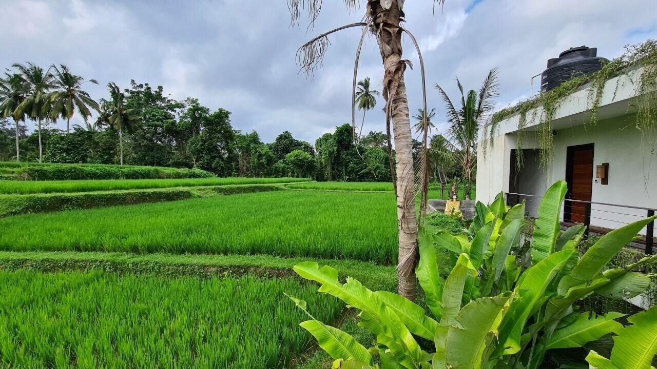 Hotel Ayurvedagram Bali Ubud Esterno foto