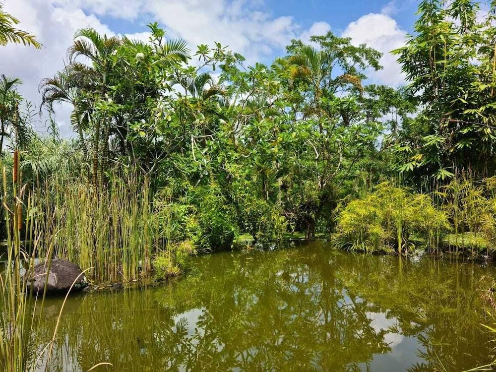 Hotel Ayurvedagram Bali Ubud Esterno foto